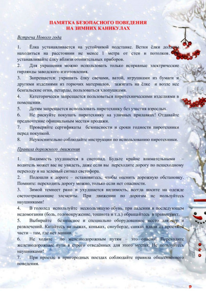 Новогодние каникулы.